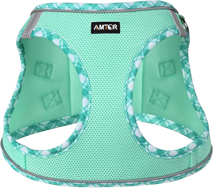 AMTOR Small Dog Harness with Leash Set, No Escape Easy Walk Puppy Harnesses for Training Walking, Step-in Reflective Soft Dogs Vest for XS S Medium Extra-Small Large Sized Dog(Green,XL) - Image 2