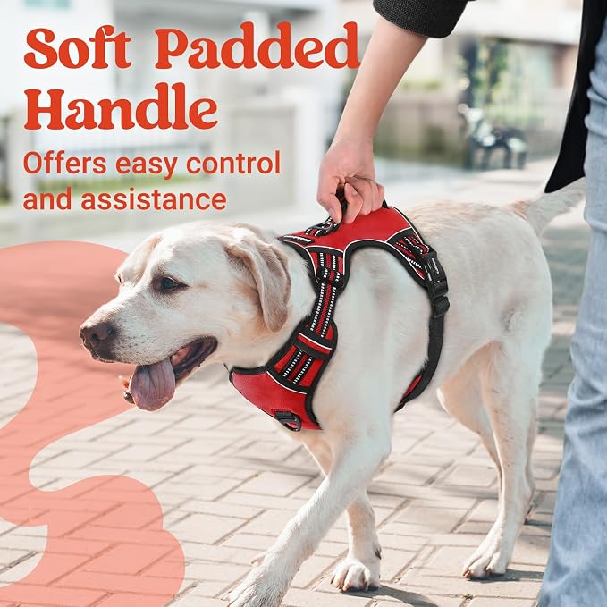 rabbitgoo Large Dog Harness, Easy Wear with 3 Buckles and Lift Handle | No Pull with Front Clip for Walking, Adjustable Soft Padded, Reflective, Easy Control, Red, Small - Image 2