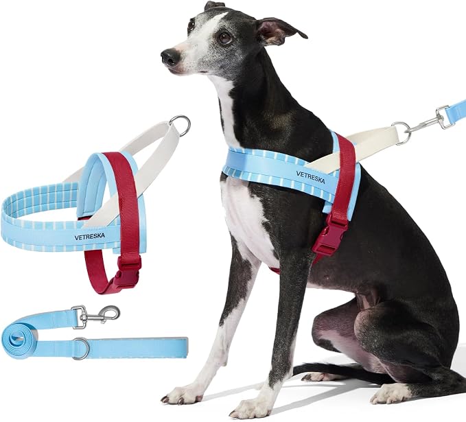 VETRESKA Dog Harness No Pull, Easy Control No Choke Pet Harness Collar, L | for Large Medium Size Dogs, Adjustable Dog Vest, Easy Walk Pet Vest Harness with Heavy Duty Anti-Twist Dog Leash (Misty Melo) - Image 7