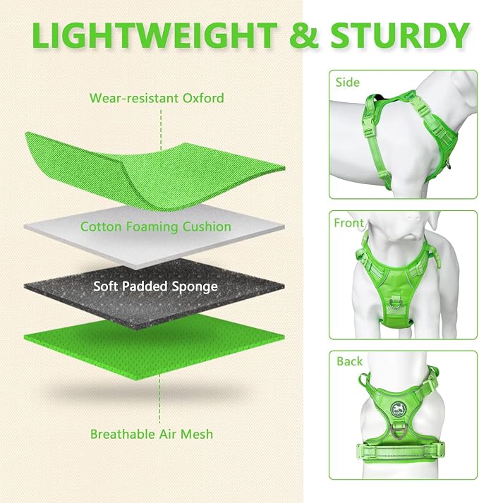 PoyPet No Pull Dog Harness, Reflective Vest with 2 Leash Clips & Handle | Lockable Neck Release Buckle, No Choke, Adjustable, Soft Padded, for Walking Training, Green Matching Trim, Small - Image 3