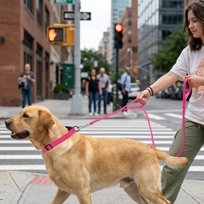 Waterproof Dog Leash with Double Handle, 6 FT Durable Odor-Proof Dog Leashes with Strong Aviation Aluminum Hooks Fits Small Medium or Large Dogs - Image 5