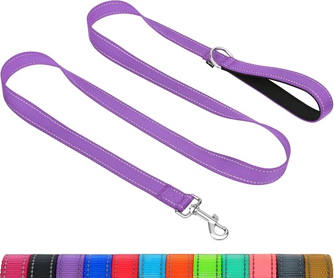 Taglory Reflective Dog Leash for Medium Large Dogs, 1in x 5ft, Purple | Ideal for Night Walking, Strong for Sudden Pulls, Lightweight & Gentle on the Neck, Soft Padded Handle by Taglory