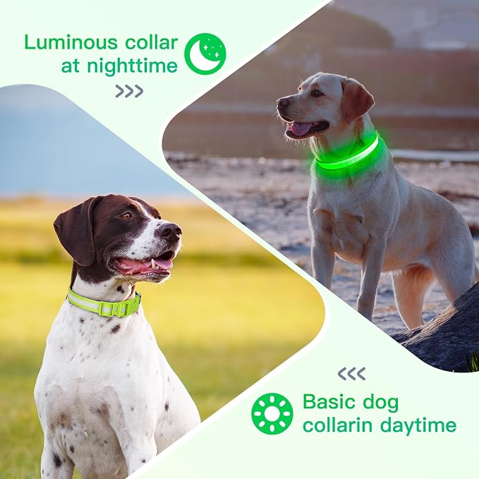 LED Light Up Dog Collar for Night Safety Walks, Green, L | USB rechargeable, waterproof & pet-safe, 3 lighting modes, long-lasting glow, adjustable S/M/L, soft comfy daily walk fit - Image 5