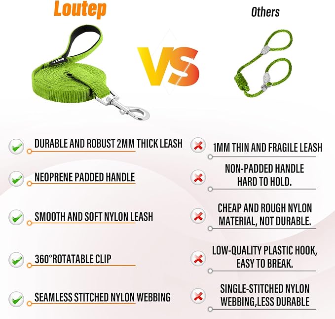 Long Line Dog Training Leash with Padded Handle, 100 ft, Green | Durable nylon webbing with reinforced stitching and 360° swivel clip for recall and obedience - Image 6