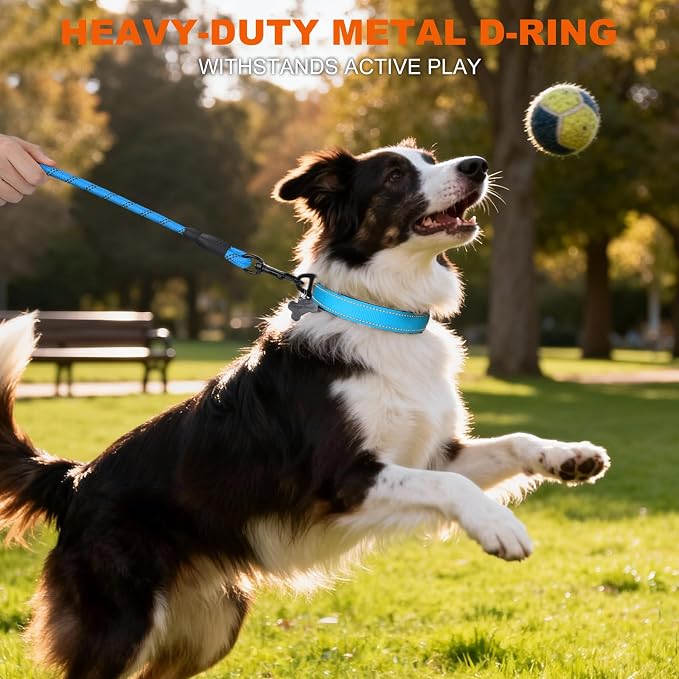 Taglory Reflective Dog Collar for Medium Dogs, Soft and Safe for Daily Walk | Soft Neck Cushioning, Adjustable 14-20 in, Sturdy Webbing Withstands Strong Pullers, Zinc Alloy D-Ring for Leash and ID Tags - Image 6