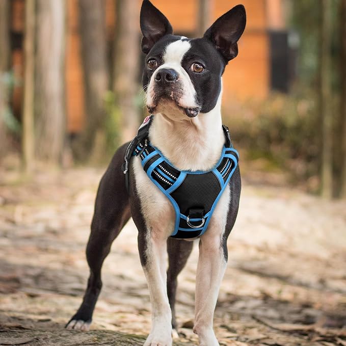 rabbitgoo Dog Harness Small Sized, No Pull 3 Buckles Easy On & Off | Soft Padded, Walking with Control Handle, Adjustable and Reflective, Black & Blue, Small - Image 8