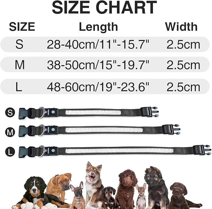 MASBRILL Light Up Dog Collars - LED Dog Collar Rechargeable Lighted Dog Collars Resistant-Water Night Walking Glow in the Dark Collars - Image 4
