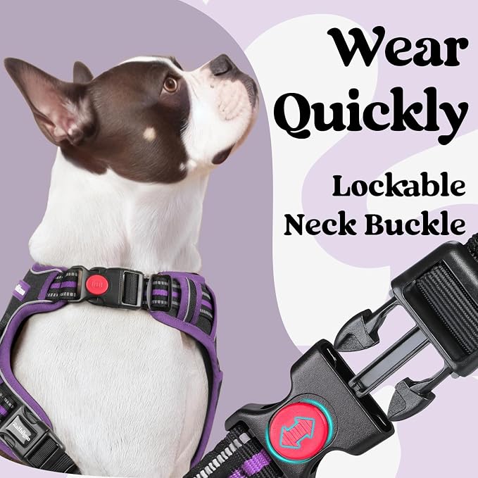 rabbitgoo Dog Harness Small Sized, Updated Easy On & Off with 3 Buckles | No Pull No Choke, Walking with 2 Clips and Handle, Adjustable Soft Reflective, Black & Purple, Small - Image 2