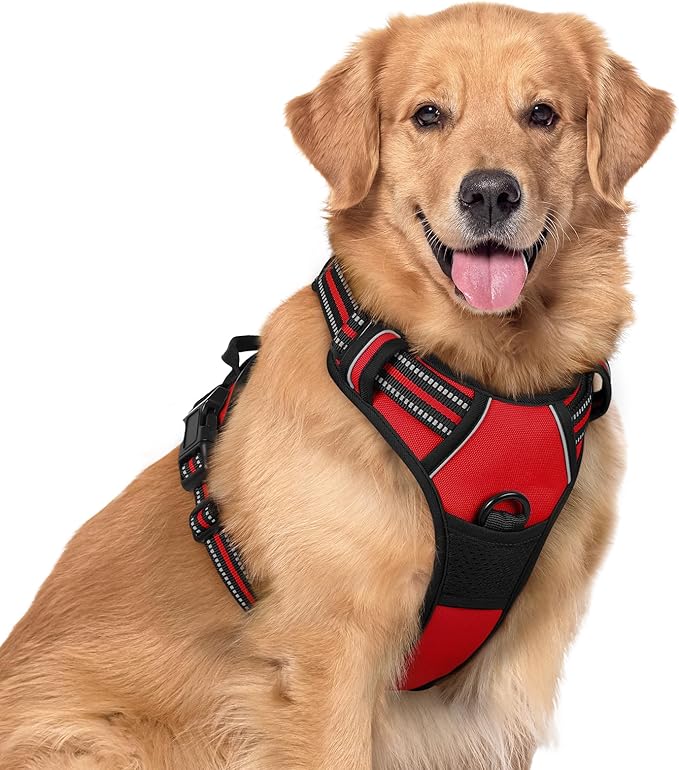 rabbitgoo Dog Harness, No Pull for Large Dogs with 2 Leash Clips, Pet Vest | No Choke with Handle, Adjustable Soft Padded, Reflective, Easy Control for Walking, Red, X-Large by rabbitgoo