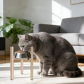 Elevated Cat Bowl Stand Good for Senior Cats Digestion Arthritis Relief - Adjustable Metal Feeder Riser, Fits 5.1-7.45” Round Bowls (No Bowls)(Light Khaki) by Unknown