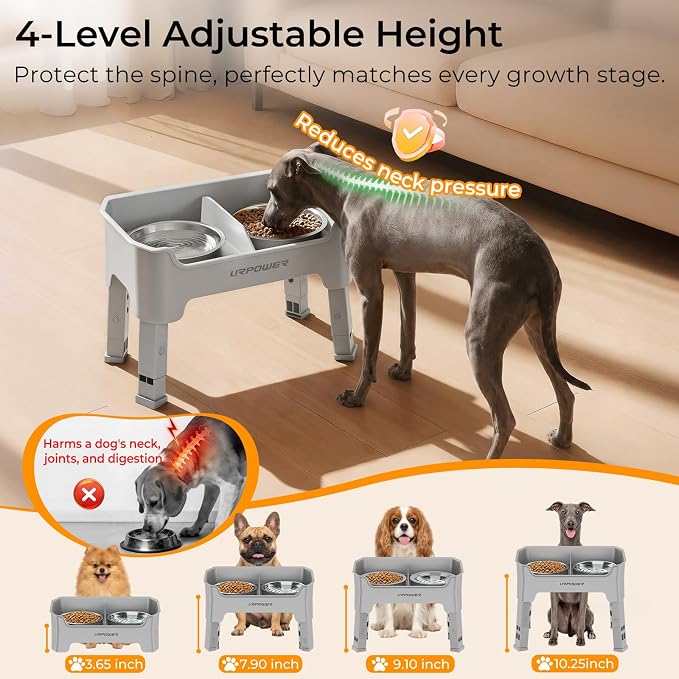 URPOWER Mess Proof Elevated Dog Bowls, Splash Guard Raised Bowl Stand | 4 Adjustable Heights, 2 Stainless Steel Bowls, Food & Water Separation, Non-Slip Base, Foldable Design for Small Dogs - Image 5
