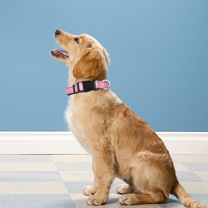 Reflective Dog Collar, Adjustable Soft Neoprene Padded,Light Pink,M | Breathable Nylon for Medium Dogs,Tear-Resistant Webbing,Chafe‑Free on Walks and Hikes,Metal D-Ring,Night Safety - Image 2