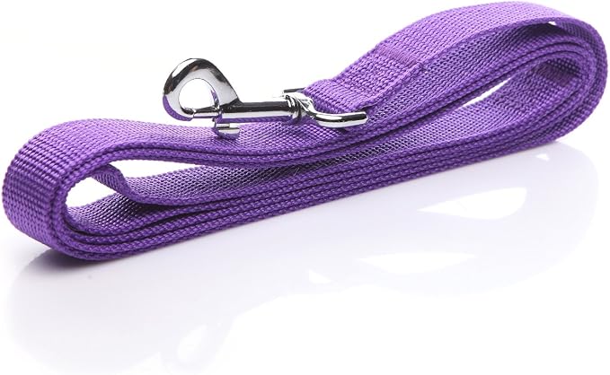 Nylon Dog Leash 4 Ft 5 Feet 6 Foot Long, Walking Training Dog Leashes for Medium Large Dogs, 1 Inch Wide (6ft, Purple) - Image 3