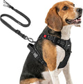 Joytale No Pull Dog Harness & Seat Belt, Easy On 3-Buckle, M, Black | Front Clip Reduces Pulling, Escape-Resistant Design, Adjustable Fit, Soft Padding for Comfort, Secure Tether for Safer Travel by Joytale