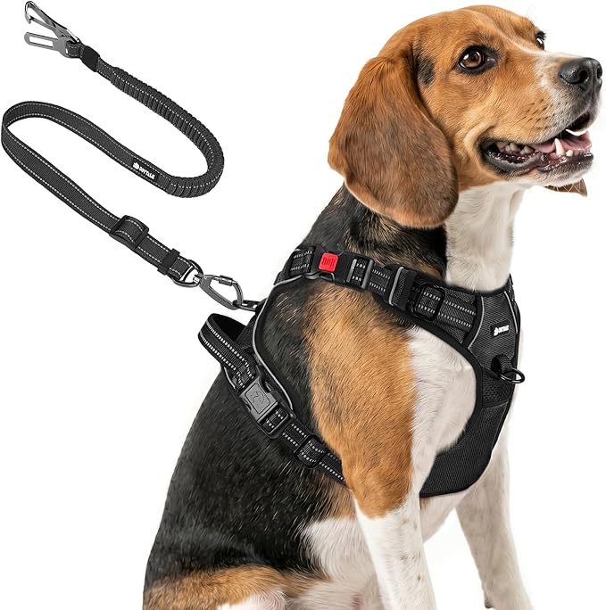 Joytale No Pull Dog Harness & Seat Belt, Easy On 3-Buckle, M, Black | Front Clip Reduces Pulling, Escape-Resistant Design, Adjustable Fit, Soft Padding for Comfort, Secure Tether for Safer Travel by Joytale