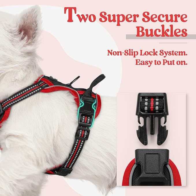 rabbitgoo Dog Harness, No Pull for Small Dogs with 2 Leash Clips, Pet Vest | No Choke with Handle, Adjustable Soft Padded, Reflective, Easy Control for Walking, Black & Red, X-Small - Image 3