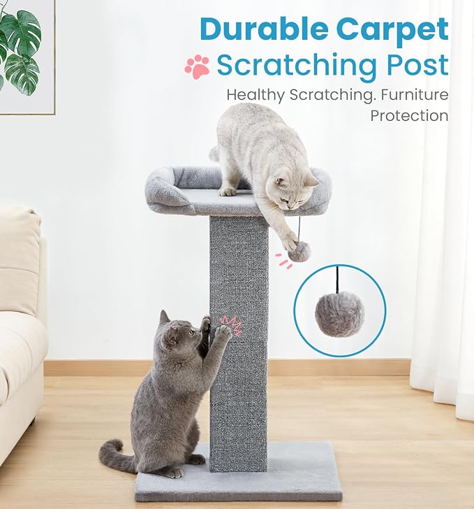 Made4Pets 32" Carpet Cat Scratching Post with Bed for Indoor Cats, Grey | Carpet Cat Scratcher, Raised Perch with Removable Washable Cover, Wide Base, Hanging Ball, Compact Indoor Design - Image 5