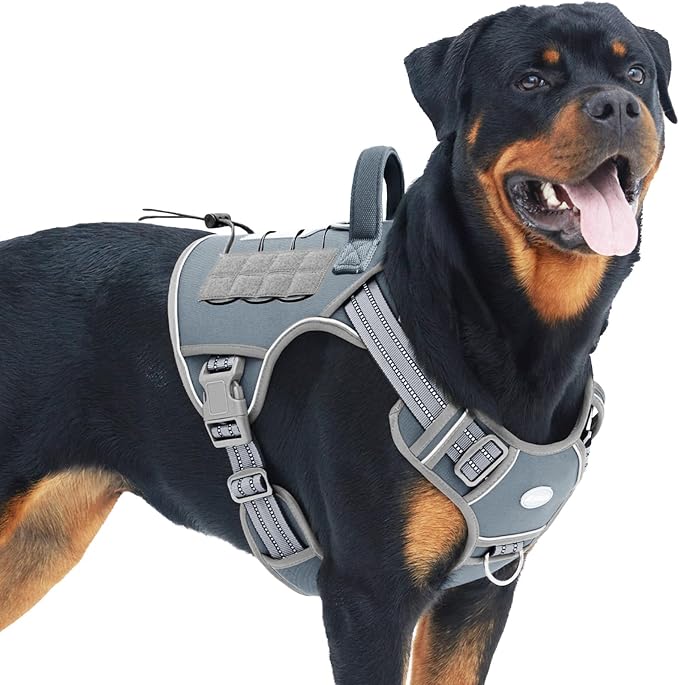 Auroth Tactical Dog Harness for Large Dogs No Pull Adjustable Pet Harness Reflective K9 Working Training Easy Control Pet Vest Military Service Dog Harnesses Grey L | Easy Control with handle, Adjustable, Reflective, Military K9, for German Shepherd Hu... by AurothPets