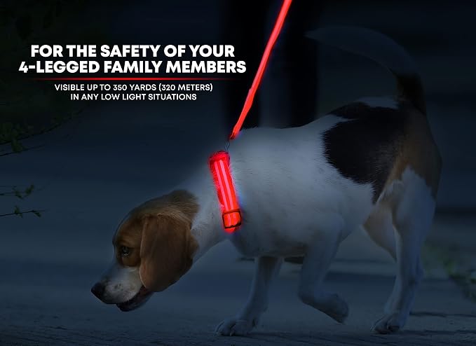 LED Dog Collar USB Rechargeable - Bright & High Visibility Lighted Glow Collar for Pet Night Walking - Weatherproof, in 6 Colors & 6 Sizes (Red Large) - Image 2