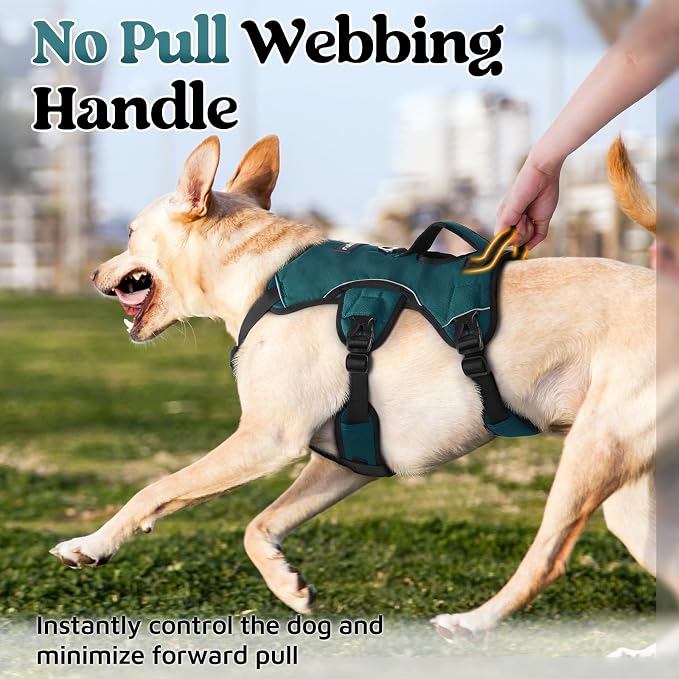 rabbitgoo Escape Proof Dog Harness for Large, No Pull with Lift Handle | No Escape, Full Soft Padded, Reflective Adjustable Vest, Leash Clip for Walking Hiking Training, Dark Green, Large - Image 4