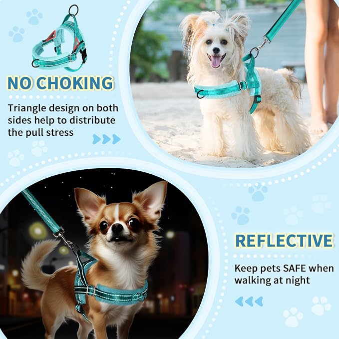 SlowTon No Pull Small Dog Harness and Leash Set with Front Clip | Soft Padded, Neck & Chest Adjustable, Lightweight, Anti-Twist, Puppy Vest Harness Pet Lead Combo for Small Medium Dog, TL XXS - Image 3