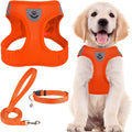 PUPTECK Dog Harness, Collar and Leash Set No Pull for Small Medium Sized | Soft Mesh Puppy Step-in Escape Proof Reflective No Choke Pet Cat Adjustable Walking Vest by PUPTECK