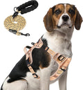 PUPTECK No Pull Dog Harness Medium Sized, Adjustable Reflective Dog Harness with Handle Easy Control, Comfortable Soft Padded Pet Vest Harness for Medium Dogs, Plaid Beige M by PUPTECK