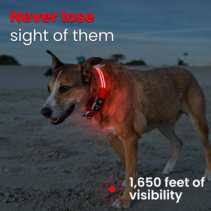 Tractive LED Light Up Dog Collar USB Rechargeable Waterproof (Red) - Image 2
