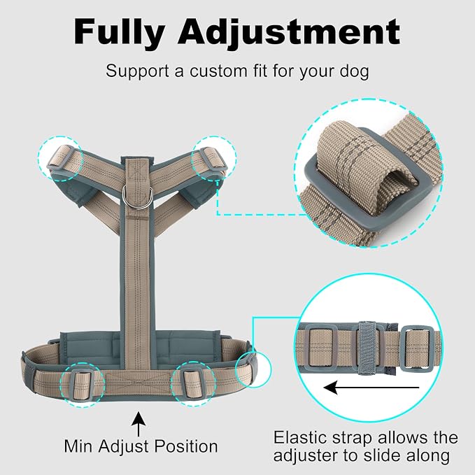 Plutus Pet No Pull Dog Harness, Adjustable Nylon Harness with Soft Padding | Reflective with Front Clip, Heavy Duty for Training and Walking, for Small Medium Large Dogs, Beige, L - Image 8