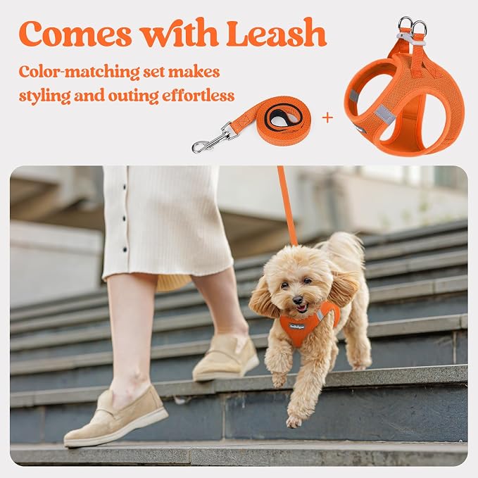 rabbitgoo Dog Harness Small Sized and Leash Set, Step-in Puppy Pet Vest | Light, Soft, Breathable Air Mesh, Easy on and Remove with Hook & Loop, Secure Reflective for Walking, Orange XXS - Image 5