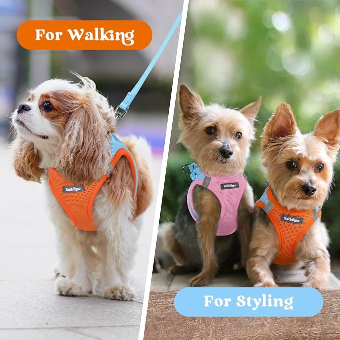 rabbitgoo Step-in Small Dog Harness, Puppy Vest for Small Sized Pet | Easy Put on and off, Lightweight, Soft, Breathable Quick-Dry Air Mesh for Comfortable Secure Walking, Blue & Orange XXXS - Image 9