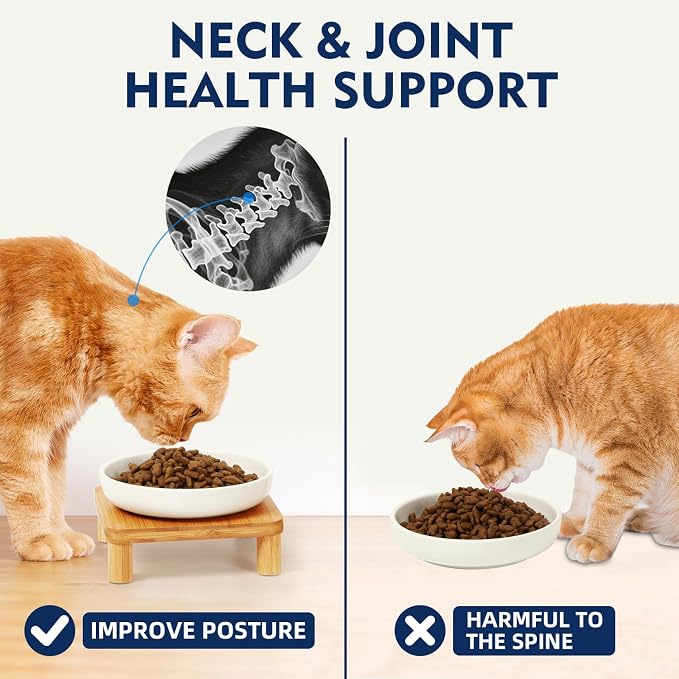 DoogCat Raised Cat Bowl, Elevated Cat Bowls with Bamboo Stand, Set of 2 | Premium Ceramic Bowls, Adjustable Height, Whisker-Friendly Design, Elevated Feeding, Easy to Clean - Image 4