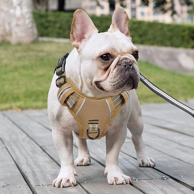 HEELE Dog Harness, Dog Harness for Small Medium Large Dogs No Pull Adjustable Padded Reflective Harness with Handle for Walking Training, Brown, S | Soft Breathable Padded Pet Vest, No Pull No Choke, Adjustable 2 Metal Rings for Outdoor Walking Training - Image 7