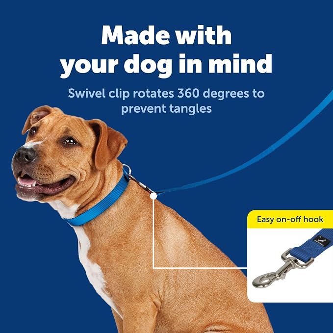PetSafe Nylon Dog Leash - Strong, Durable, Traditional Style Leash with Easy to Use Bolt Snap - 1 in. x 6 ft., Royal Blue | Durable Nylon Leash with Easy on/off Bolt Snap Hook, Pairs Perfectly with Easy Walk Harness and Gentle Leader Headcollar - Image 3