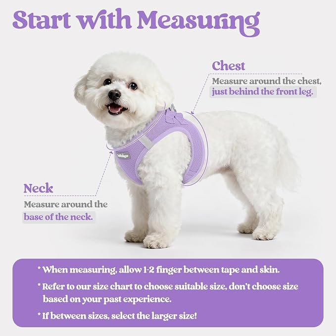 rabbitgoo Dog Harness Small Sized and Leash Set, Step-in Puppy Pet Vest | Light, Soft, Breathable Air Mesh, Easy on and Remove with Hook & Loop, Secure Reflective for Walking, Light Purple M - Image 2