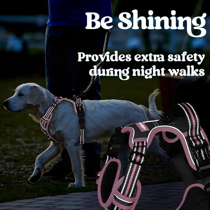 rabbitgoo Dog Harness for Large, Updated Easy On & Off with 3 Buckles | No Pull No Choke, Walking with 2 Clips and Handle, Adjustable Soft Reflective, Black & Pink, Large - Image 8