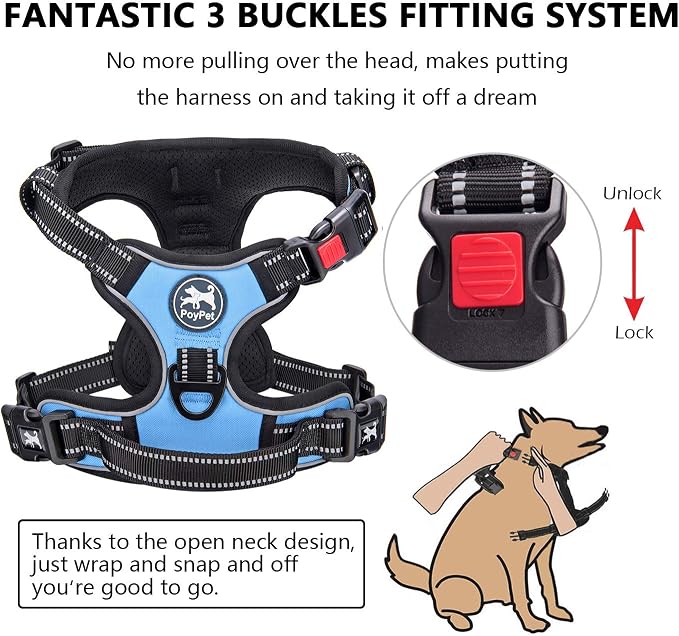 PoyPet No Pull Dog Harness Medium with Front Clip & Neck Release Buckle | No Choke, Adjustable Vest, Reflective, Back Clip, Lockable, Soft Padded Handle for Walking Training, M, Light Blue - Image 2