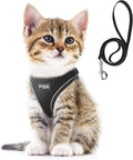 Fida Comfy Dog Harness with Leash, Cat Vest Harness Escape Proof, Breathable Lightweight Soft Mesh, Adjustable Reflective Step-in Harness for Puppy Toy Breeds & Extra-Small Pet (XXS, Black) by Fida