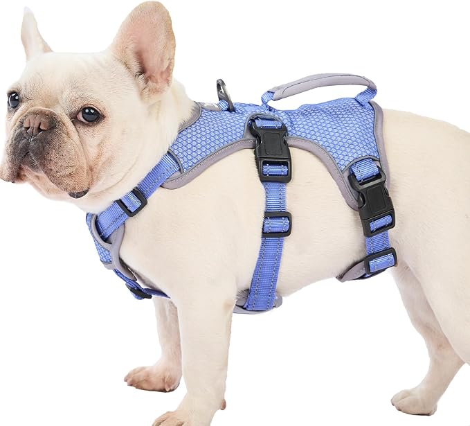 Escape Proof Dog Harness, Dachshund Harness, Reflective Dog Harness with Handle, Durable,Adjustable Vest for Small Medium Large Dogs Walking, Training, and Running Gear (Technicolor Blue,L) by Huntboo