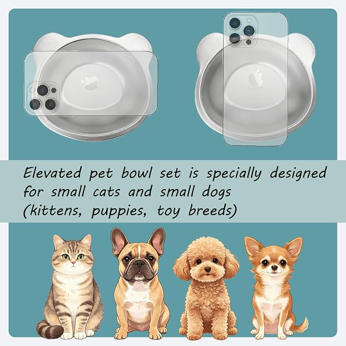 2 Pack Elevated Pet Bowls for Small Cats and Dogs 15° Tilted | Anti-Vomiting Stainless Steel Raised Dishes, 5.9” Whisker & Spine Friendly Indoor Food & Water Bowls - Image 2