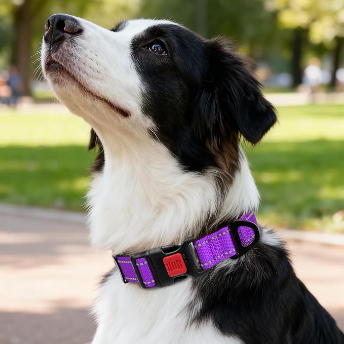 Taglory Reflective Dog Collar for Medium Dogs, Soft and Safe for Daily Walk | Soft Neck Cushioning, Adjustable 14-20 in, Sturdy Webbing Withstands Strong Pullers, Zinc Alloy D-Ring for Leash and ID Tags - Image 2