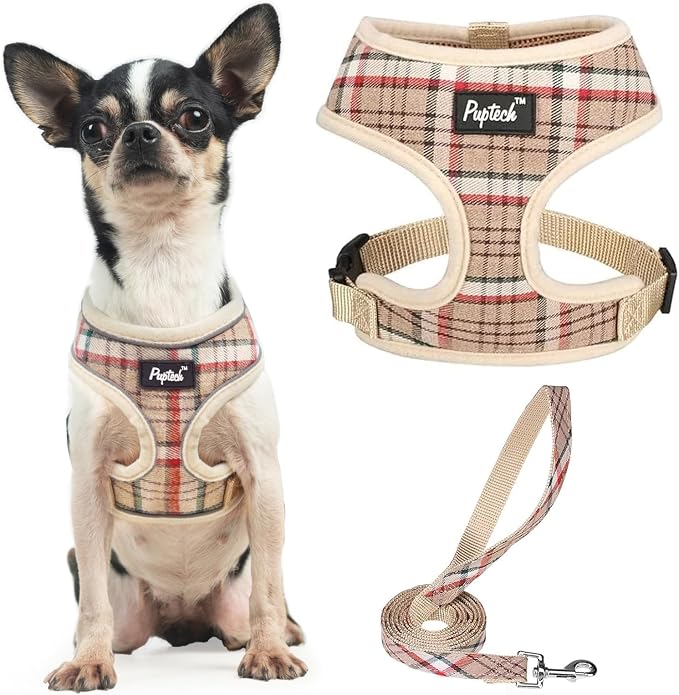 PUPTECK Small Dog Harness and Leash Set No Pull for XS XXS Sized Dogs Puppy | Escape Proof No Choke Pet Cat Adjustable Soft Padded Walking Vest by PUPTECK