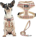 PUPTECK Small Dog Harness and Leash Set No Pull for XS XXS Sized Dogs Puppy | Escape Proof No Choke Pet Cat Adjustable Soft Padded Walking Vest by PUPTECK
