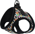 Bark Appeal Skull Multi Step-in Dog Harness for XS to Small Sized Pets – Updated Sizing, Re-Measuring is Essential – Soft Vest Harness – Anti-Choke with Adjustable Strap & Heavy Duty Clip – S by BarkAppeal