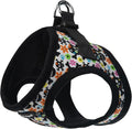 Bark Appeal Skull Multi Step-in Dog Harness for Extra Small Sized Pets – Updated Sizing, Re-Measuring is Essential – Soft Vest Harness – Anti-Choke with Adjustable Strap & Heavy Duty Clip – XS by BarkAppeal