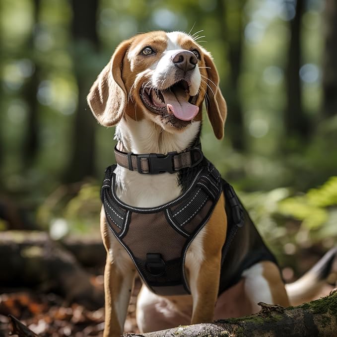 Joytale Reflective Dog Collar, Adjustable Neoprene Padded, Brown XL | Breathable Nylon for Large Breeds, No Chafing on Hikes and Outdoor Use, Tear-Resistant Webbing, Metal D-Ring, Night Safety - Image 2