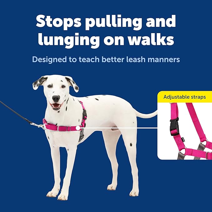 PetSafe Easy Walk Harness, No Pull Dog Harness, Raspberry, Medium/Large | Patented Martingale Loop Gives Gradual Shoulder Pressure to Stop Pulling, Front-Chest Leash Clip Prevents Gagging - Image 3