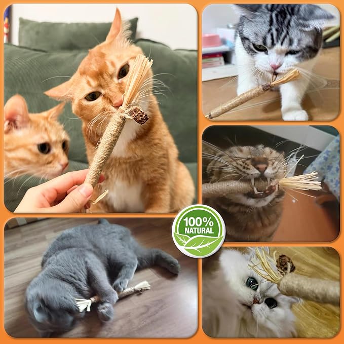 6Pcs Silvervine Sticks for Cats with Catnip Bag, Cat Chew Toys for Teeth Cleaning and Anxiety Relief, Natural Dental Care Kit for Indoor Cats & Kittens - Image 7