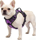 Purple No-Pull Dog Harness with 2 Leash Clips，Soft Padded Vest for Medium Dog, Adjustable Reflective Dog Vest Easy to Put on and Take Off, (Neck: 14"~20", Chest: 21"~27", Purple M) by Unknown