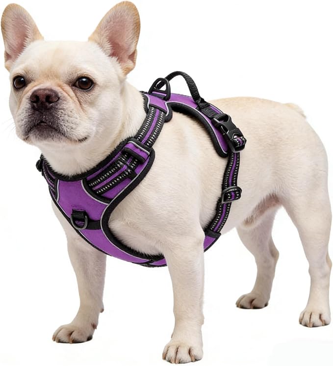 Purple No-Pull Dog Harness with 2 Leash Clips，Soft Padded Vest for Large Dog, Adjustable Reflective Dog Vest Easy to Put on and Take Off,Neck: 18"~26", Chest: 25"~34",Purple XL - Image 5